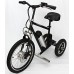 ROABAO Tilting Electric Tricycle - B074PHGYT6