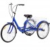 CHOOSEandBUY Blue Single Speed Tricycle with Adjustable Seat super low stand over steel frame - B07FLKY5T1